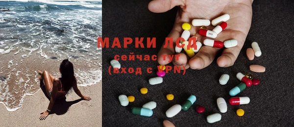 прущие грибы Верея