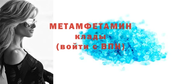 прущие грибы Верея