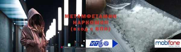 прущие грибы Верея