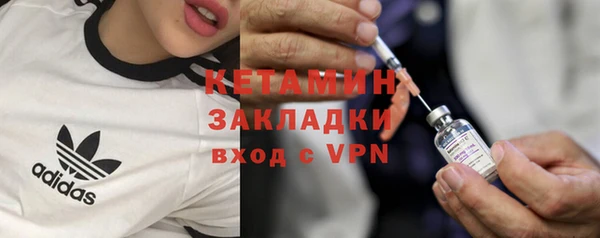 прущие грибы Верея