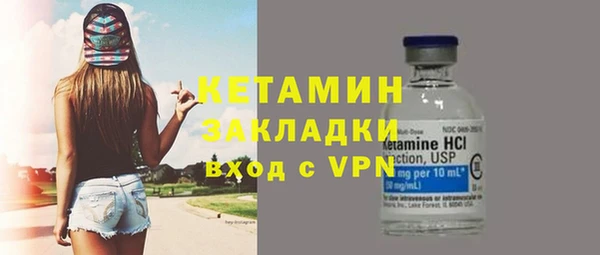 прущие грибы Верея