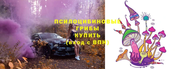 mix Бородино