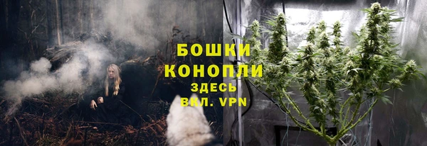mix Бородино